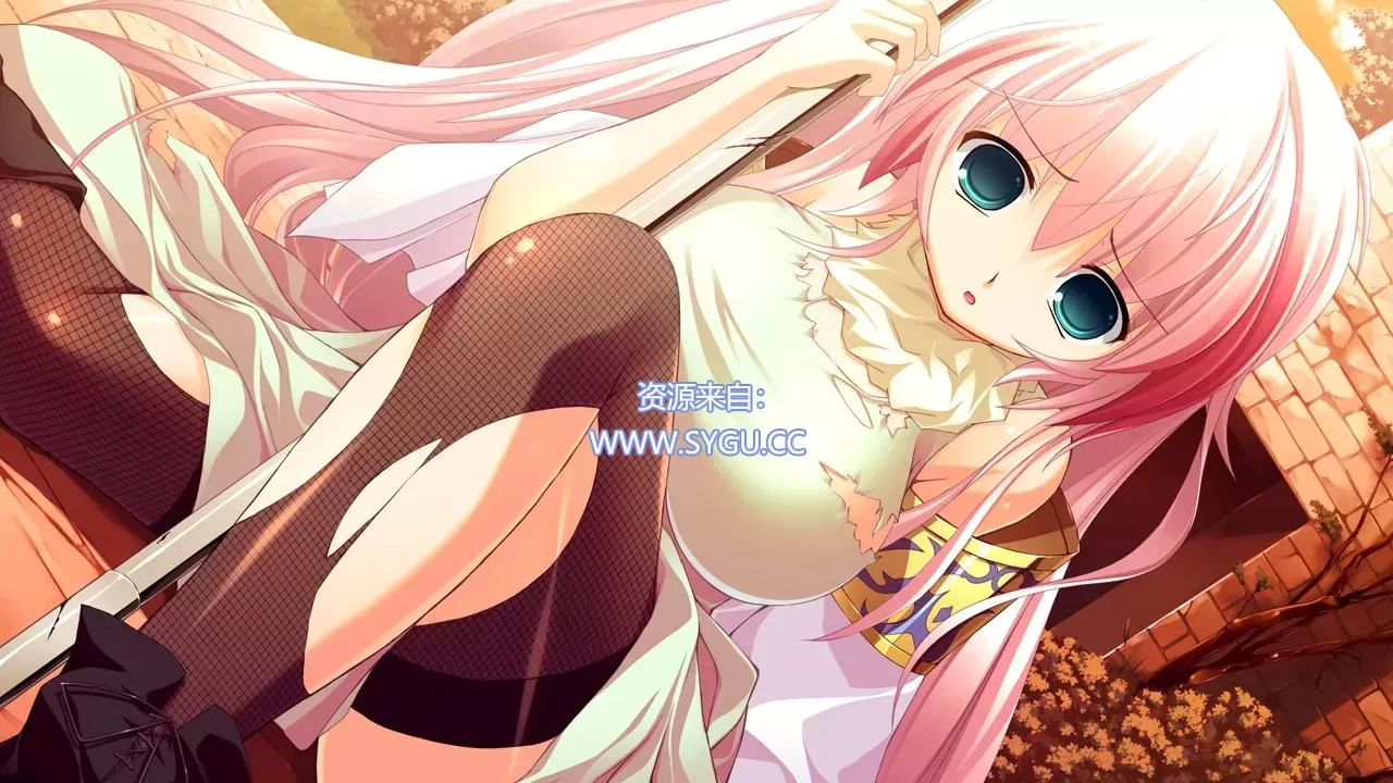 图片[3]-黑白羽翼1-5部全系列合集/Tiny Dungeon ～BLACK and WHITE～精翻汉化版（汉化）-无忧免费游戏网