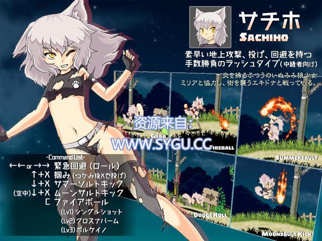 图片[4]-米莉亚战记DX/ミリア戦記DX v1.0.0（英文）-无忧免费游戏网
