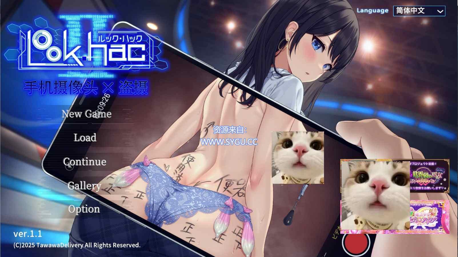 手机摄像头×盗摄2/观察黑客2/LOOKhac 2 内置全回想解锁 v1.1 包含DLC（官中）-无忧免费游戏网