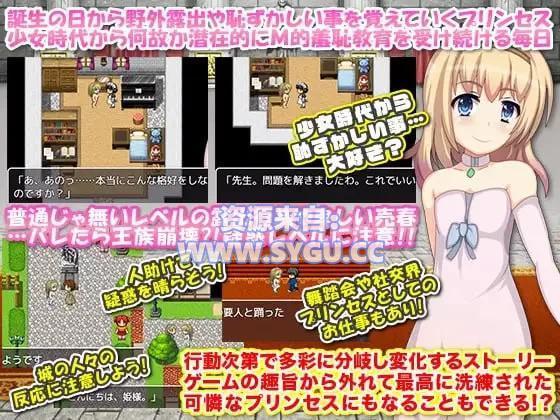 图片[2]-[PC+安卓]公主卖春奋斗记 プリンセスが夜中に変装して露出 完整版 安卓joi模拟器运行（官中）-无忧免费游戏网