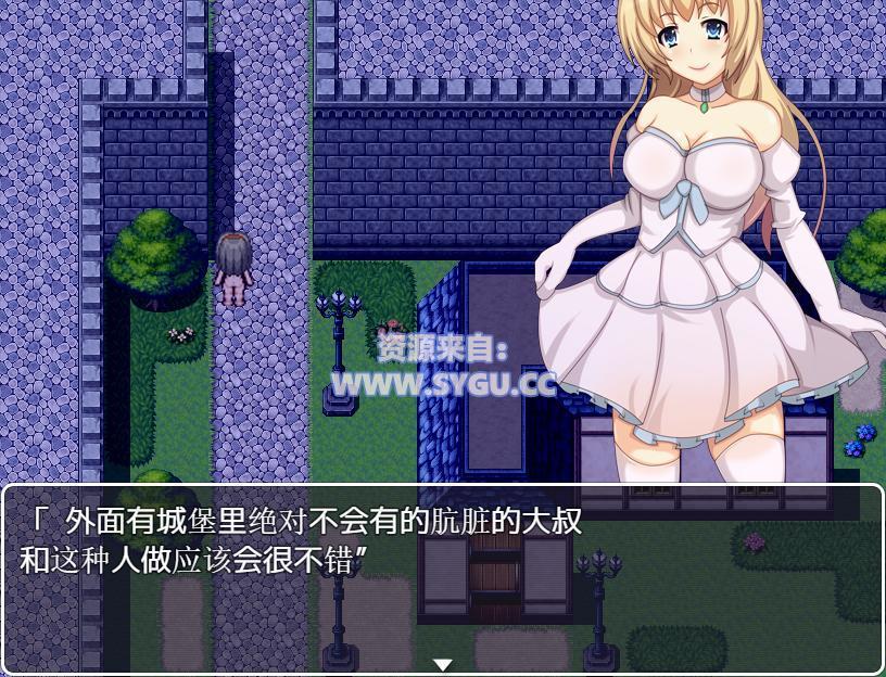 图片[3]-[PC+安卓]公主卖春奋斗记 プリンセスが夜中に変装して露出 完整版 安卓joi模拟器运行（官中）-无忧免费游戏网
