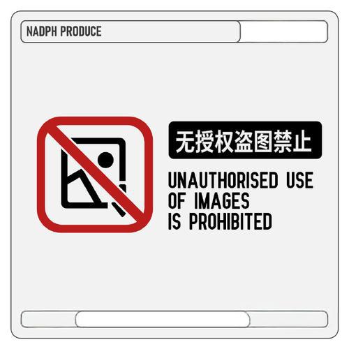 图片[5]-[I社新作]耻辱锁链/恥辱連鎖 v1.05 正式版 附汉化游玩说明（日文）-无忧免费游戏网