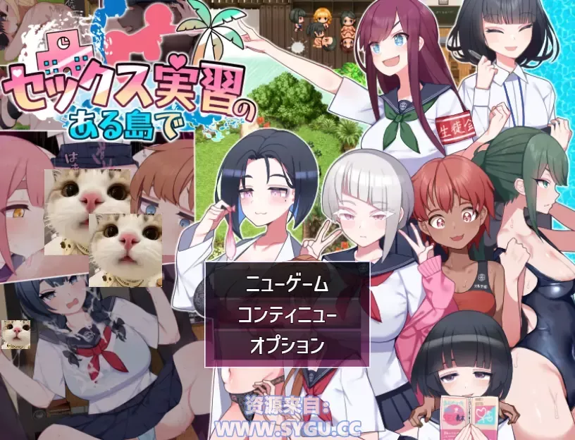 在设有性爱实习的岛屿上/セックス実習のある島で v1.0.5 Mtool AI汉化润色版 内置全回想解锁（汉化）-无忧免费游戏网
